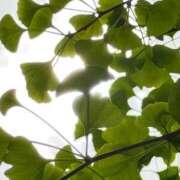 バニスター 光を感じる青葉 鶯谷デッドボール