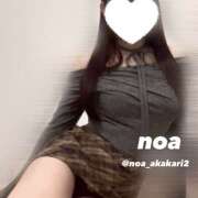 のあ ヌくヌく♨️‪‪❤︎‬ かりんと赤坂