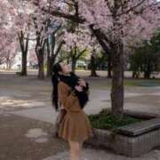 ヒメ日記 2025/04/06 19:18 投稿 カラン マドンナ(仙台)