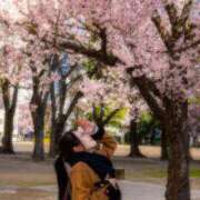 ヒメ日記 2025/04/12 04:40 投稿 カラン マドンナ(仙台)