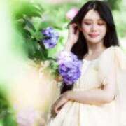 ヒメ日記 2025/11/25 11:15 投稿 カラン マドンナ(仙台)