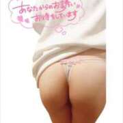 ヒメ日記 2024/12/27 03:35 投稿 吉岡マキノ ヴェルファーレーVELFARREー鹿児島