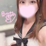 ヒメ日記 2024/12/28 18:28 投稿 なぎ 激安ソープの殿堂　ボイン・ホーテ