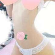 ヒメ日記 2024/12/12 11:14 投稿 みさき 桃李（とうり）