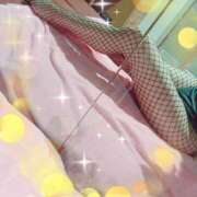 ヒメ日記 2024/12/17 13:30 投稿 まつり 奥鉄オクテツ和歌山