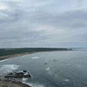 ヒメ日記 2026/07/20 14:30 投稿 麻美あゆみ アロマレーベル新橋（シンデレラグループ）