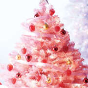 ヒメ日記 2024/12/13 08:50 投稿 西本 MadameRest(マダムレスト)