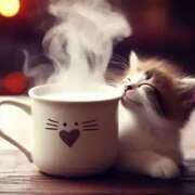 ヒメ日記 2025/01/20 23:37 投稿 西本 MadameRest(マダムレスト)