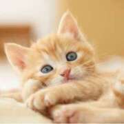 ヒメ日記 2025/02/12 18:23 投稿 西本 MadameRest(マダムレスト)