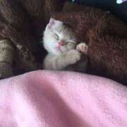 ヒメ日記 2025/02/17 15:26 投稿 西本 MadameRest(マダムレスト)