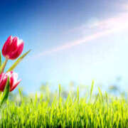 ヒメ日記 2025/02/28 06:36 投稿 西本 MadameRest(マダムレスト)