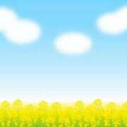 ヒメ日記 2025/03/06 06:17 投稿 西本 MadameRest(マダムレスト)