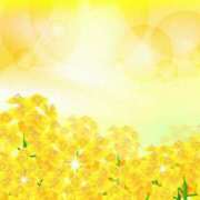 ヒメ日記 2025/03/10 06:03 投稿 西本 MadameRest(マダムレスト)