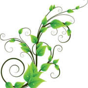 ヒメ日記 2025/03/10 09:00 投稿 西本 MadameRest(マダムレスト)