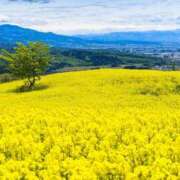 ヒメ日記 2025/03/14 09:01 投稿 西本 MadameRest(マダムレスト)