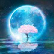 ヒメ日記 2025/03/14 19:41 投稿 西本 MadameRest(マダムレスト)