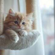 ヒメ日記 2025/03/15 06:05 投稿 西本 MadameRest(マダムレスト)