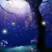 ヒメ日記 2025/03/20 21:53 投稿 西本 MadameRest(マダムレスト)