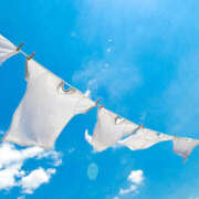 ヒメ日記 2025/03/21 06:02 投稿 西本 MadameRest(マダムレスト)