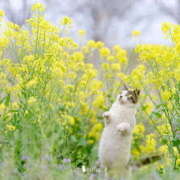 ヒメ日記 2025/03/22 08:50 投稿 西本 MadameRest(マダムレスト)