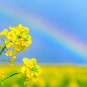 ヒメ日記 2025/03/25 06:15 投稿 西本 MadameRest(マダムレスト)