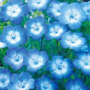 ヒメ日記 2025/03/25 09:00 投稿 西本 MadameRest(マダムレスト)