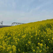 ヒメ日記 2025/03/28 14:04 投稿 西本 MadameRest(マダムレスト)