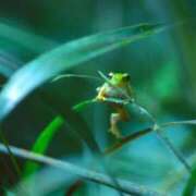 ヒメ日記 2025/03/29 06:07 投稿 西本 MadameRest(マダムレスト)