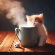 ヒメ日記 2025/03/31 08:49 投稿 西本 MadameRest(マダムレスト)