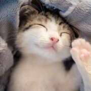 ヒメ日記 2025/04/13 21:21 投稿 西本 MadameRest(マダムレスト)