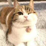 ヒメ日記 2025/04/14 09:14 投稿 西本 MadameRest(マダムレスト)