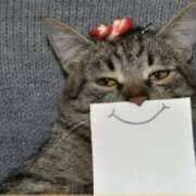 ヒメ日記 2025/04/15 05:57 投稿 西本 MadameRest(マダムレスト)