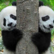 ヒメ日記 2025/04/15 08:57 投稿 西本 MadameRest(マダムレスト)