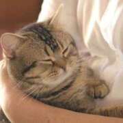 ヒメ日記 2025/04/17 06:12 投稿 西本 MadameRest(マダムレスト)