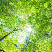 ヒメ日記 2025/04/19 08:58 投稿 西本 MadameRest(マダムレスト)