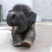 ヒメ日記 2025/04/22 06:28 投稿 西本 MadameRest(マダムレスト)