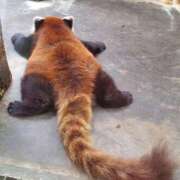 ヒメ日記 2025/04/24 06:12 投稿 西本 MadameRest(マダムレスト)