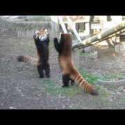 ヒメ日記 2025/04/25 06:36 投稿 西本 MadameRest(マダムレスト)