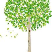 ヒメ日記 2025/04/28 09:17 投稿 西本 MadameRest(マダムレスト)