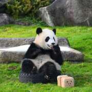 ヒメ日記 2025/05/01 06:36 投稿 西本 MadameRest(マダムレスト)