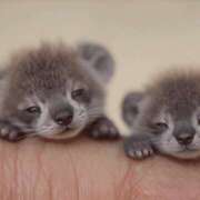 ヒメ日記 2025/05/02 06:03 投稿 西本 MadameRest(マダムレスト)