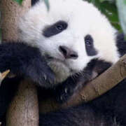 ヒメ日記 2025/05/02 09:25 投稿 西本 MadameRest(マダムレスト)