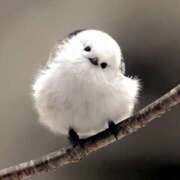 ヒメ日記 2025/05/03 06:11 投稿 西本 MadameRest(マダムレスト)