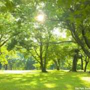 ヒメ日記 2025/05/04 06:15 投稿 西本 MadameRest(マダムレスト)