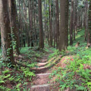 ヒメ日記 2025/05/05 19:03 投稿 西本 MadameRest(マダムレスト)