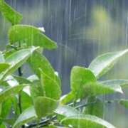 ヒメ日記 2025/05/10 09:35 投稿 西本 MadameRest(マダムレスト)