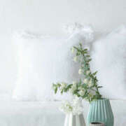 ヒメ日記 2025/05/19 08:56 投稿 西本 MadameRest(マダムレスト)