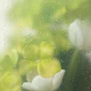 ヒメ日記 2025/05/24 05:40 投稿 西本 MadameRest(マダムレスト)