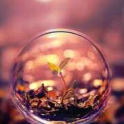 ヒメ日記 2025/05/24 17:20 投稿 西本 MadameRest(マダムレスト)