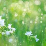 ヒメ日記 2025/05/28 06:15 投稿 西本 MadameRest(マダムレスト)